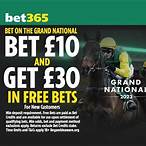 grand national who to bet on